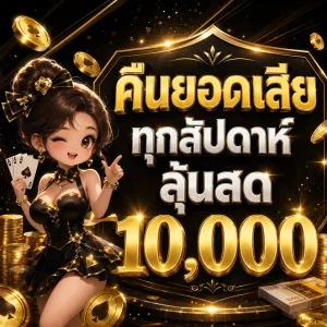 amd168 โปรโมชั่น