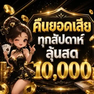 amd168 โปรโมชั่น