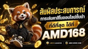 amd168 เครดิตฟรี
